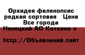 Орхидея фаленопсис редкая сортовая › Цена ­ 800 - Все города  »    . Ненецкий АО,Коткино с.